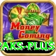 paks - Real Money King