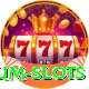 X111 Premium Slots